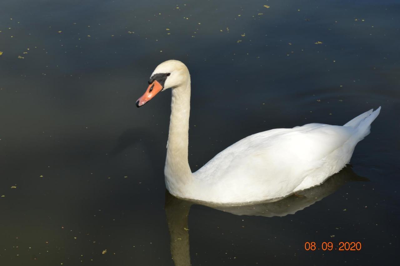 Nature Centrum Vendeghaz Gyortelek Dış mekan fotoğraf